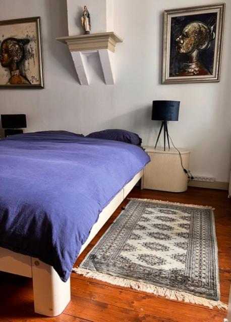 Het Kasteeltje Bed and Breakfast Βλισίνγκεν Εξωτερικό φωτογραφία
